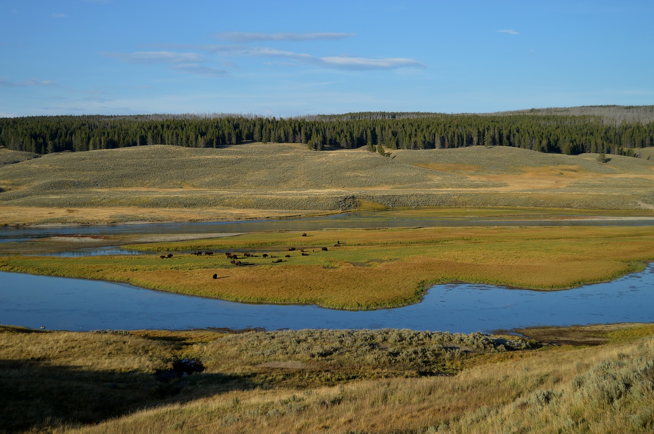 The Ultimate Guide to Snowmobiling in Yellowstone